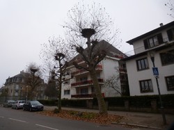 mini_sejour-marche-de-noel-en-alsace-58511103f067e.jpg